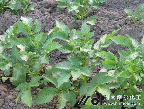 ����ˮ�ܷ����_�÷�