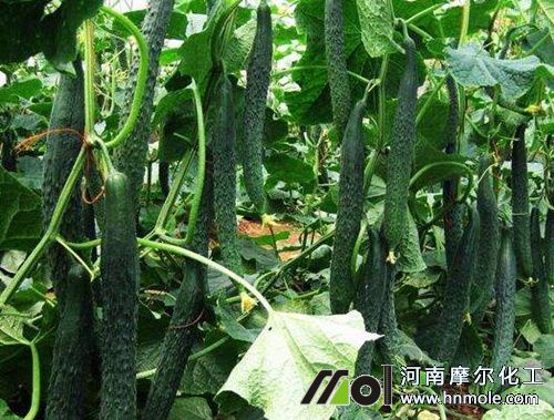 �S��ʩʲô�����