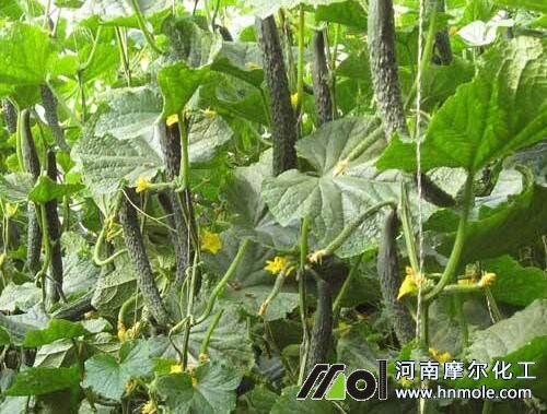 �S��ˮ�ܷ��÷�����