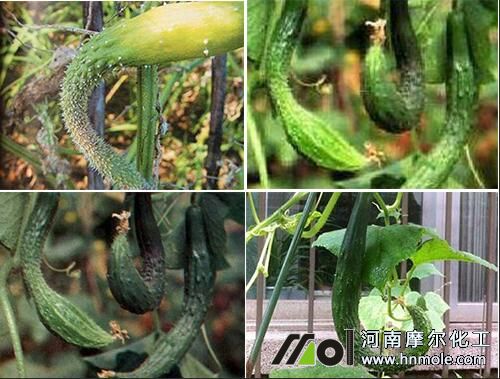 �S��һ�^��һ�^��(x��)ȱ�ʬF(xi��n)��