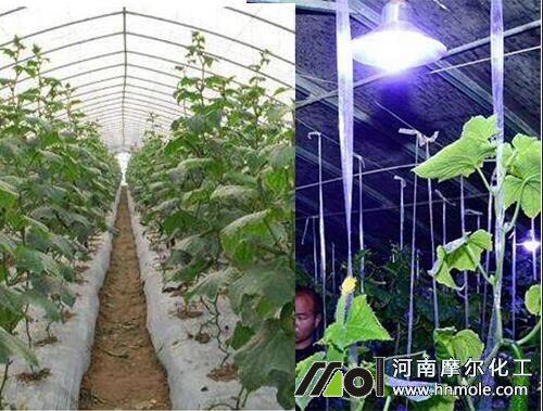 �S���m�˜ضȺ͹���