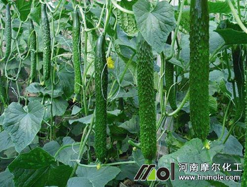 �S�ϽY(ji��)��ʩ�ʷ���