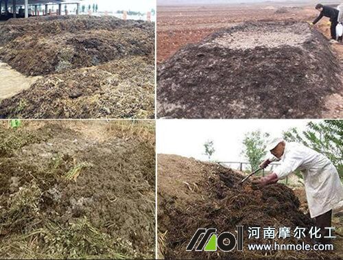 �r�ҷʰl�ͼ��g1