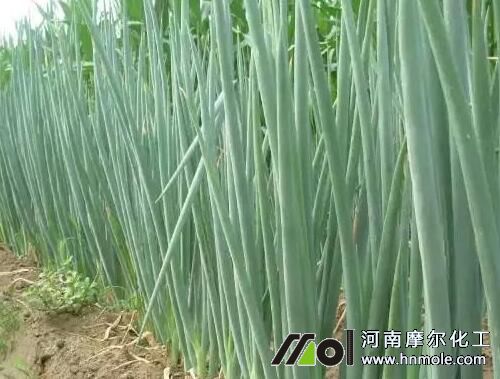 ���[������c