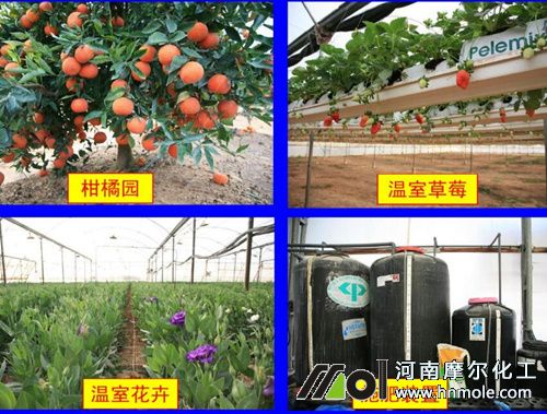 �ι��m������N�