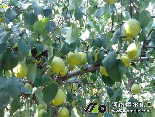 ���ʩ�ʕr�g�����g