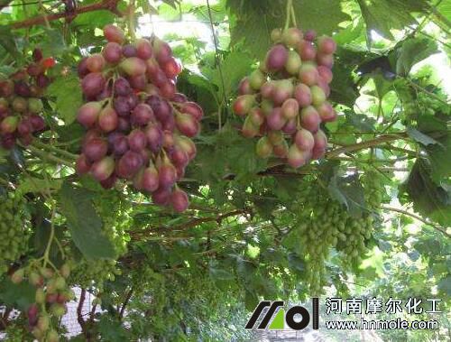 �t��������c