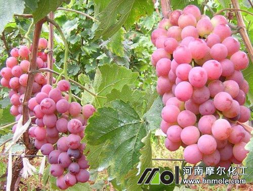 ˮ�ܷʵ�ʹ�÷���