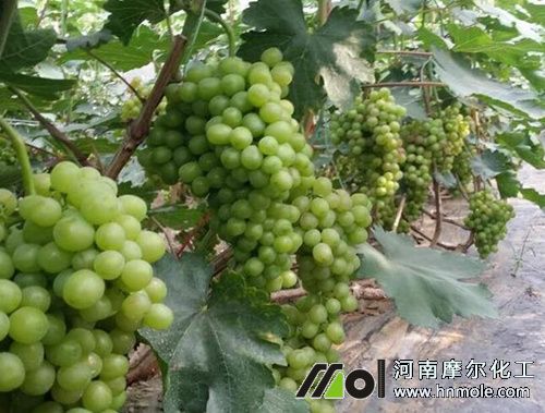 ���������m��������⛷�