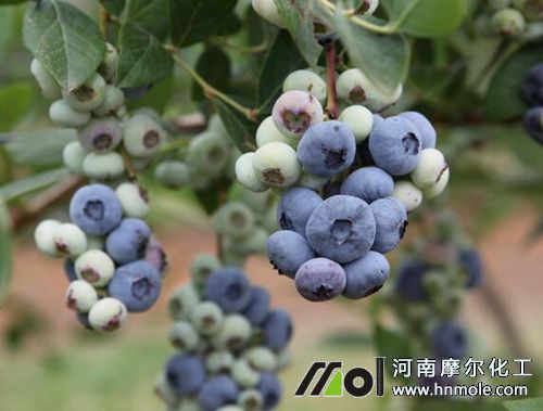 �{ݮ׷�ʷ���