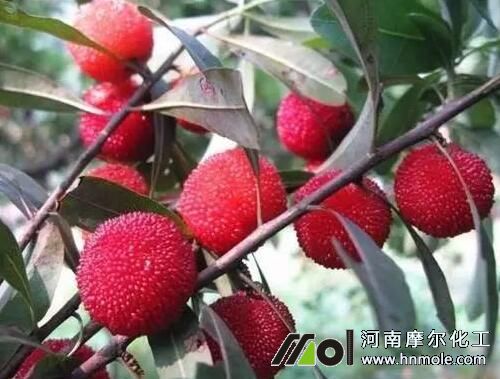 �o��÷��ʩ�ʷ���