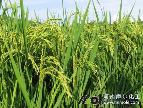 ˮ�ܷ����_ʹ�÷���