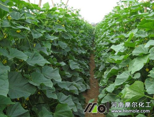 �S���������