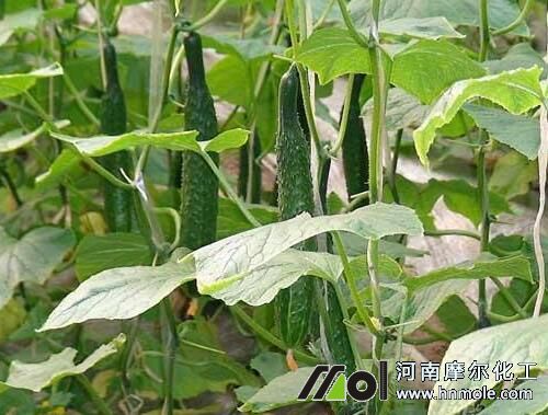 �S��ˮ�ܷ��÷�