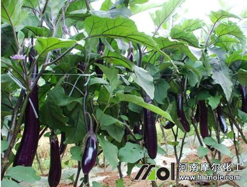 ����ˮ�ܷ�ʹ�÷���