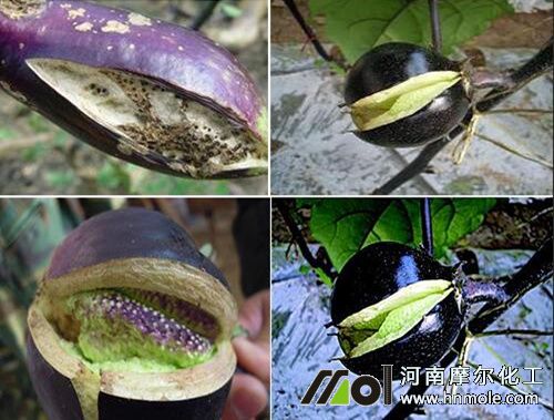 ���ӽY(ji��)���_��ԭ���A(y��)��