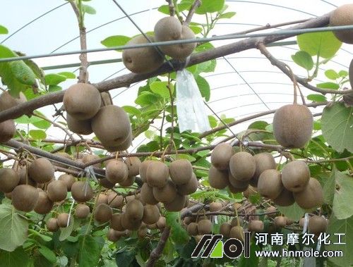 �J���ҹ���ˮ�ܷʺ�̎