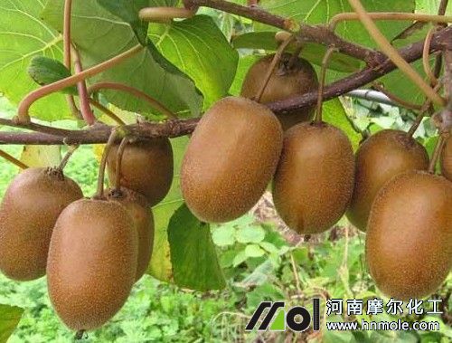 �J����ˮ�ܷ��÷�����