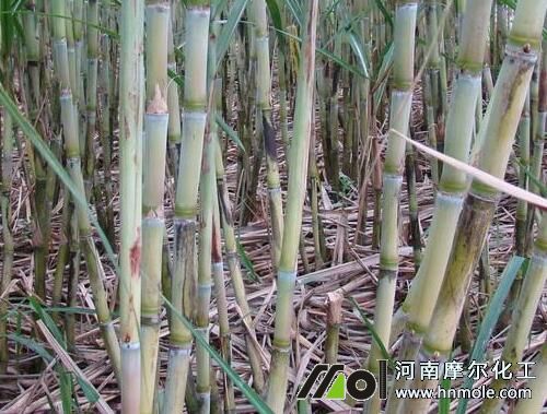 ����ˮ�ܷ�ʹ�÷���