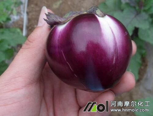 �����L������ô����