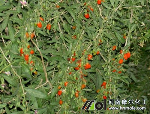 ��轵�ʩ�ʼ��g(sh��)