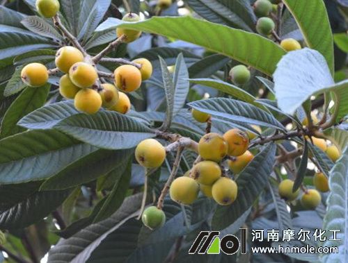 ���˘�������c