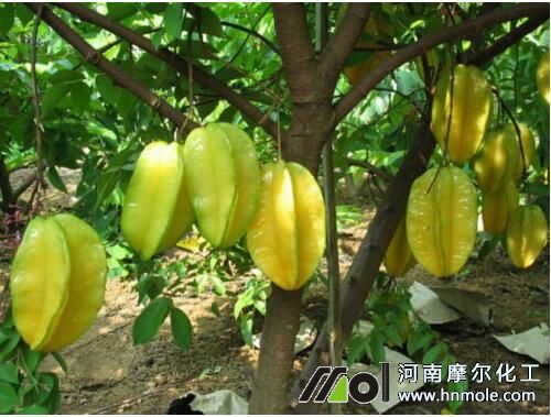 ����ʩ�ʷ���