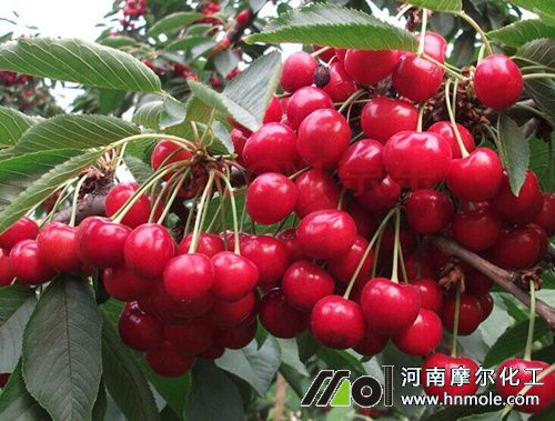 ����ˮ�ܷ��÷�����