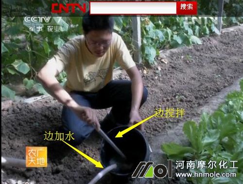 水溶肥邊加水邊攪拌 水溶肥邊加水邊攪拌