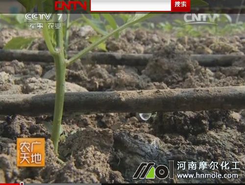 滴灌施肥 滴灌施肥