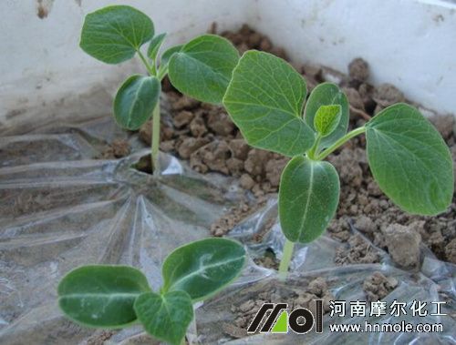 ���J����