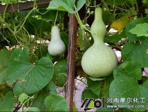 ���J�Y����