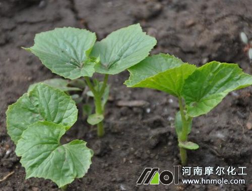 �����׷ʩˮ�ܷ�