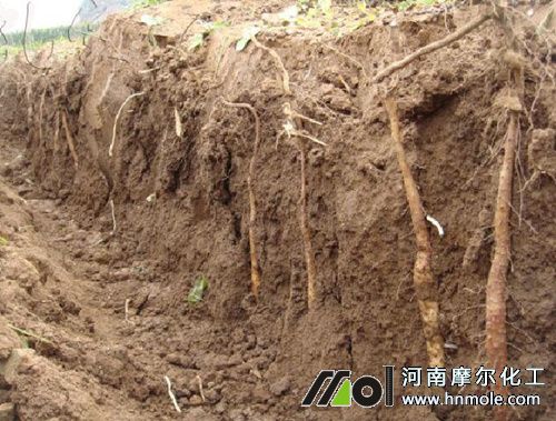 ɽˎˮ�ܷ�ʹ�÷���