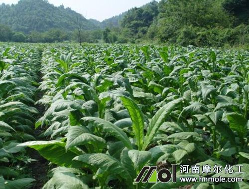 ���~ˮ�ܷ��÷�