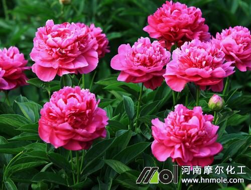 ��ˎˮ�ܷ�ʩ�ʷ���