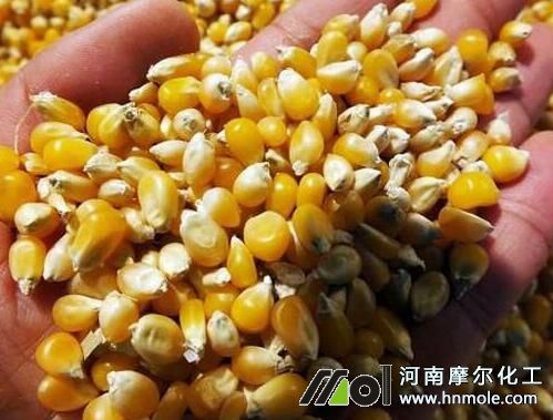 玉米種肥 玉米種肥