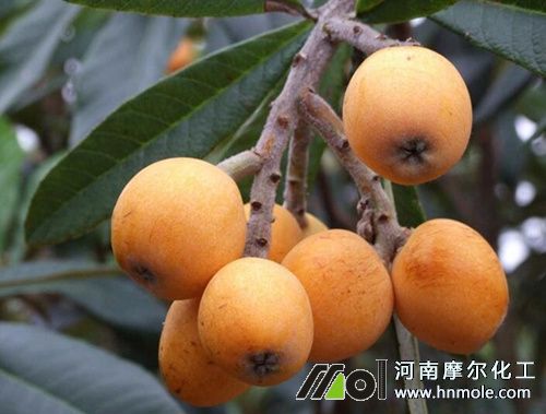 ���˹�ʩ��