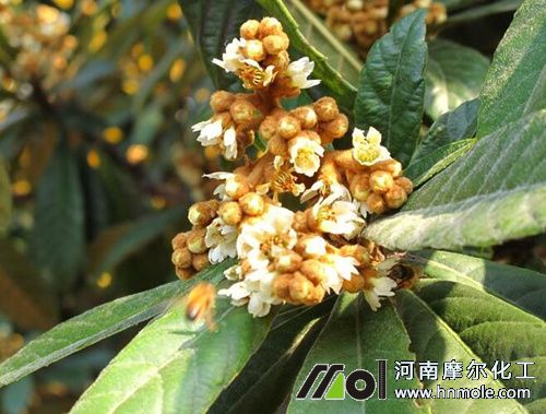 ���˴ٻ���