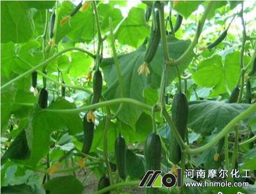 �S�ϽY����ʩˮ�ܷ�