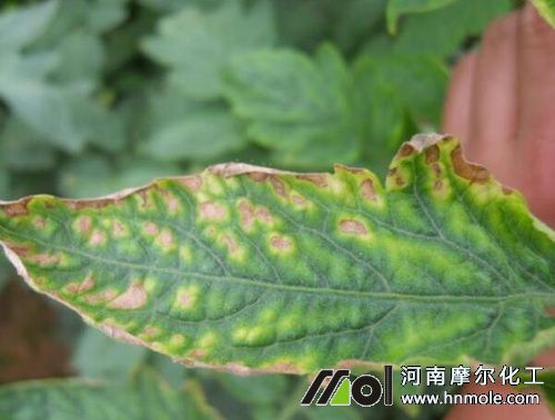 ֲ���~Ƭȱ⛰Y��2