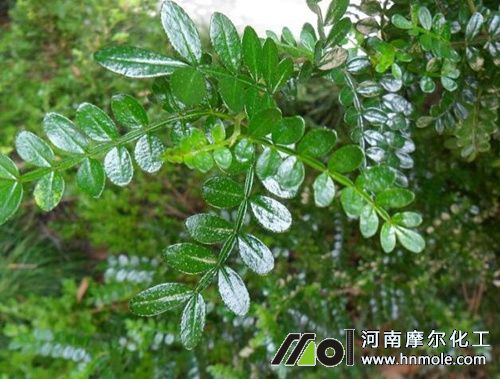 ����ľ��ʩ�ʷ���