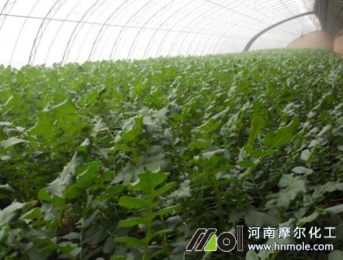 ������ˮ�ܷʷ���