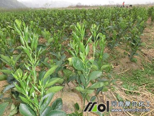 ����������ʲôˮ�ܷ�