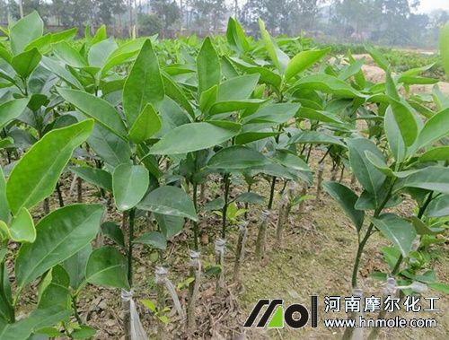 ����ˮ�ܷ�ʹ�÷���