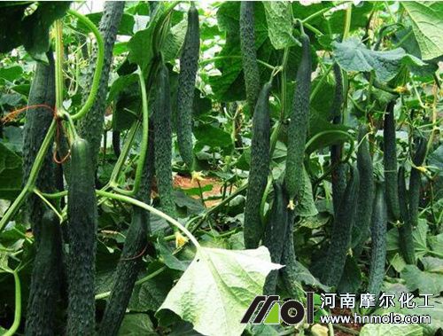 �S��ˮ�ܷ������÷�