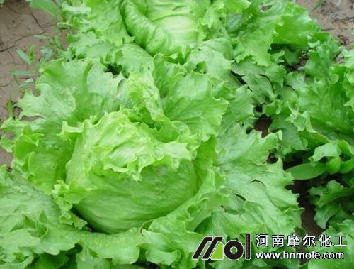 ����ʩʲô���L�ĉ�