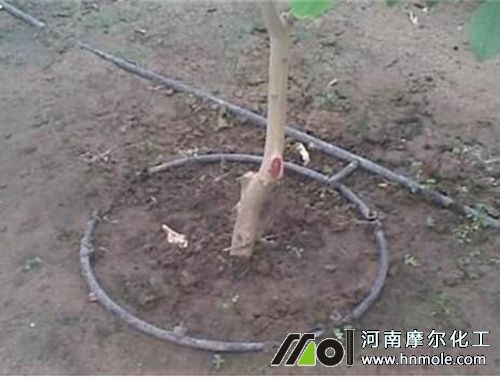 ���ٵι�ˮ�ܷ�