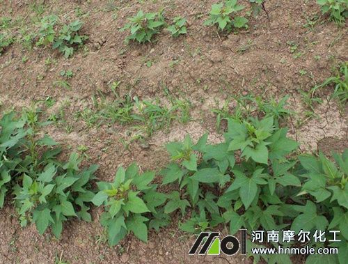 �t��ˮ�ܷ����_ʹ�÷���