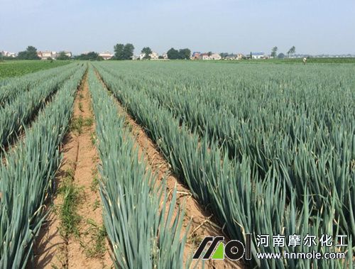 ���[��ʲô�����ķ�